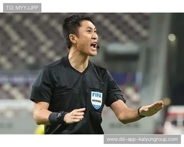 国际裁判团队入境本地执法，规则统一化推进，国际裁判证有用吗