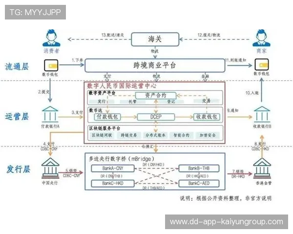 数字人民币国际化提速，上海核心枢纽作用显著，数字人民币上海地区活动